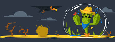 cactus vpn